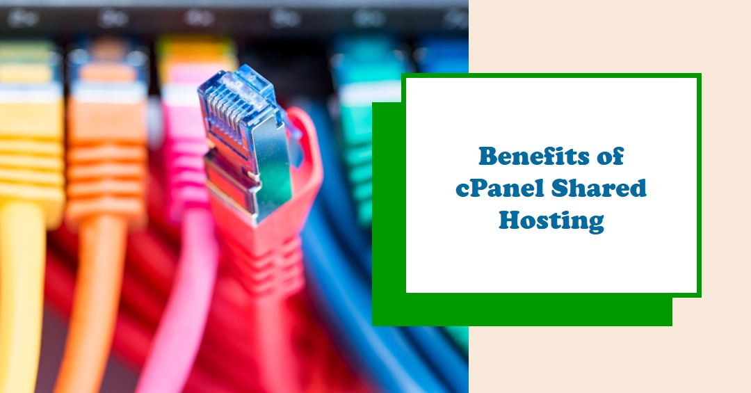 cPanel Shared Hosting
